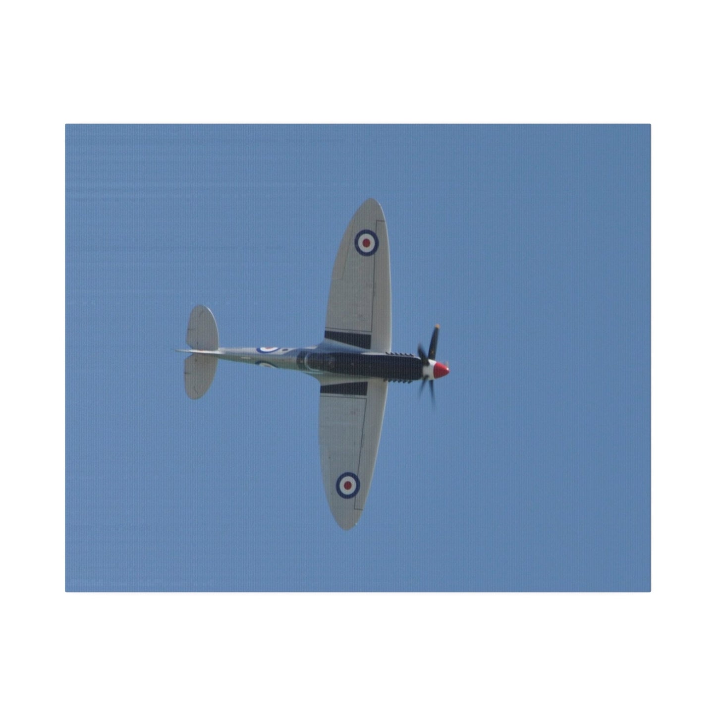 Spitfire Mk.22 Flying From The Left Sideways, Matte Canvas, Stretched, 0.75" - The Trio Synergize Group
