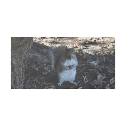 Squirrel Standing Next To A Tree, Holding A Nut Close Up Canvas - The Trio Synergize Group