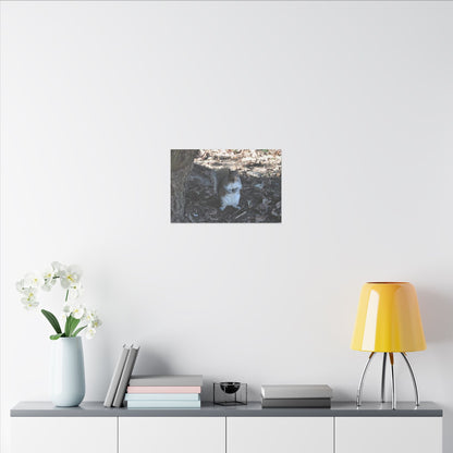 Squirrel Standing Next To A Tree, Holding A Nut Close Up Canvas - The Trio Synergize Group