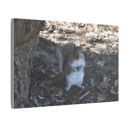 Squirrel Standing Next To A Tree, Holding A Nut Close Up Canvas - The Trio Synergize Group