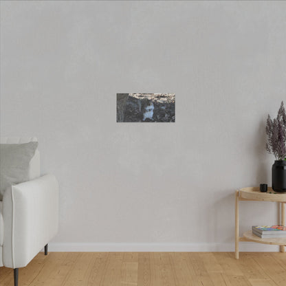 Squirrel Standing Next To A Tree, Holding A Nut Close Up Canvas - The Trio Synergize Group
