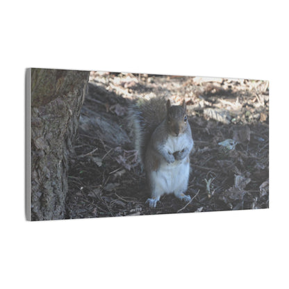 Squirrel Standing Next To A Tree, Holding A Nut Close Up Canvas - The Trio Synergize Group