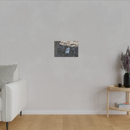 Squirrel Standing Next To A Tree, Holding A Nut Close Up Canvas - The Trio Synergize Group