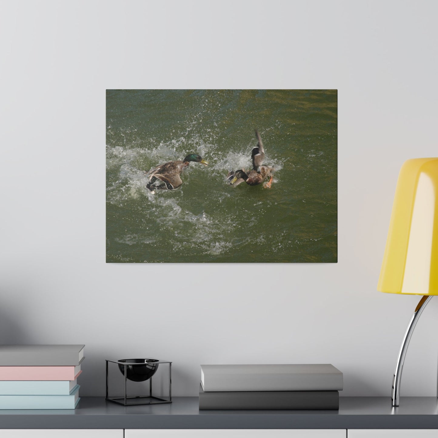 Two Male Ducks Fighting In Water, Matte Canvas, Stretched, 0.75" - The Trio Synergize Group