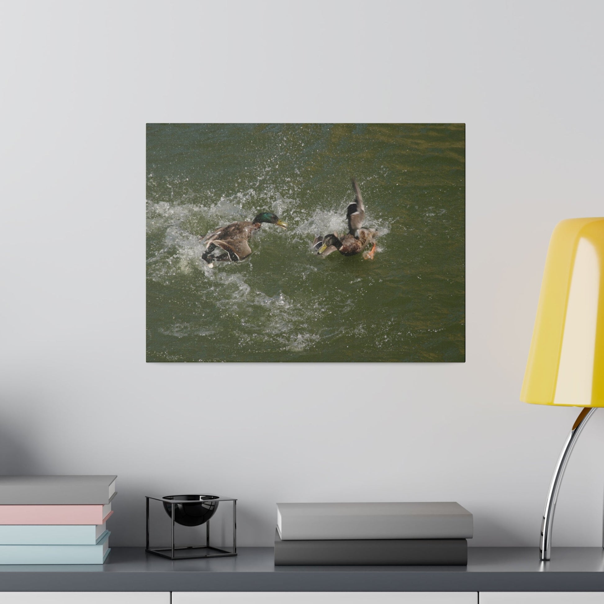 Two Male Ducks Fighting In Water, Matte Canvas, Stretched, 0.75" - The Trio Synergize Group