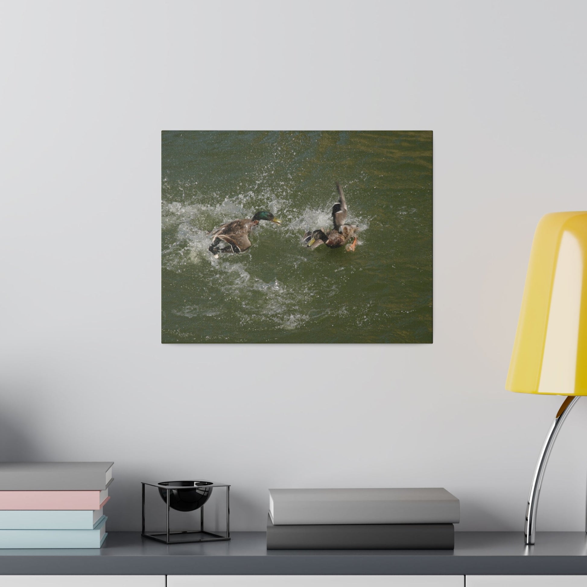 Two Male Ducks Fighting In Water, Matte Canvas, Stretched, 0.75" - The Trio Synergize Group