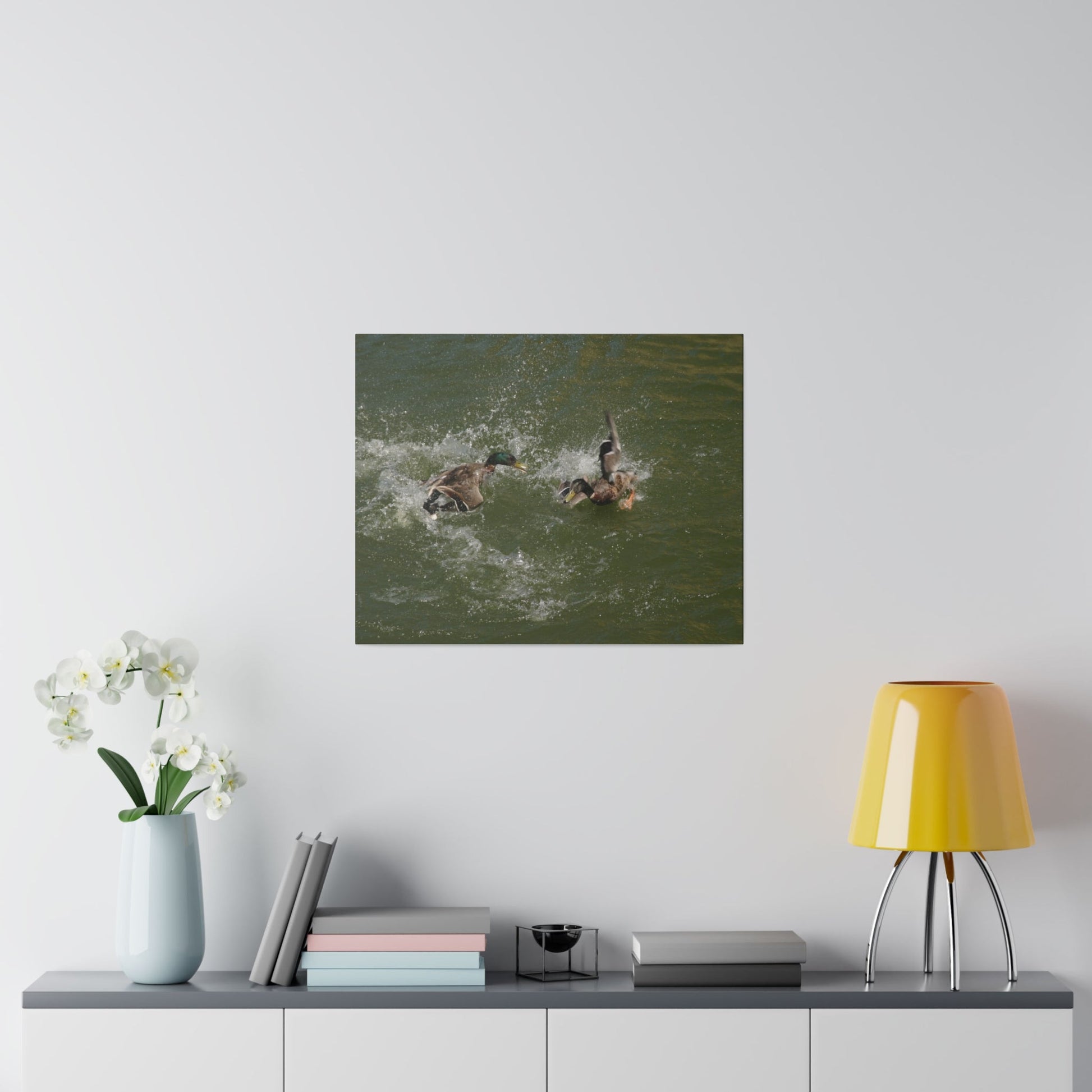 Two Male Ducks Fighting In Water, Matte Canvas, Stretched, 0.75" - The Trio Synergize Group