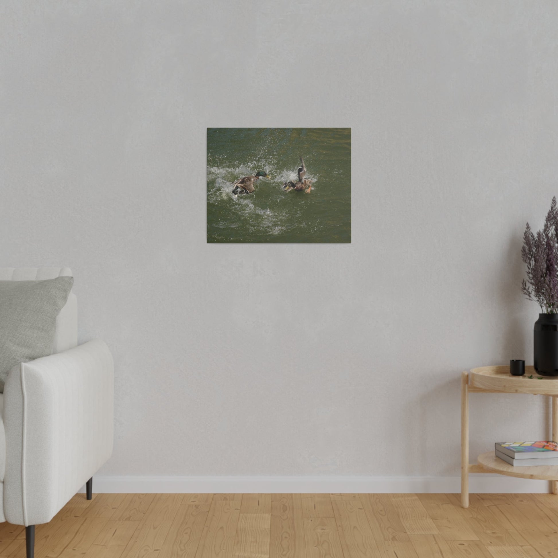 Two Male Ducks Fighting In Water, Matte Canvas, Stretched, 0.75" - The Trio Synergize Group