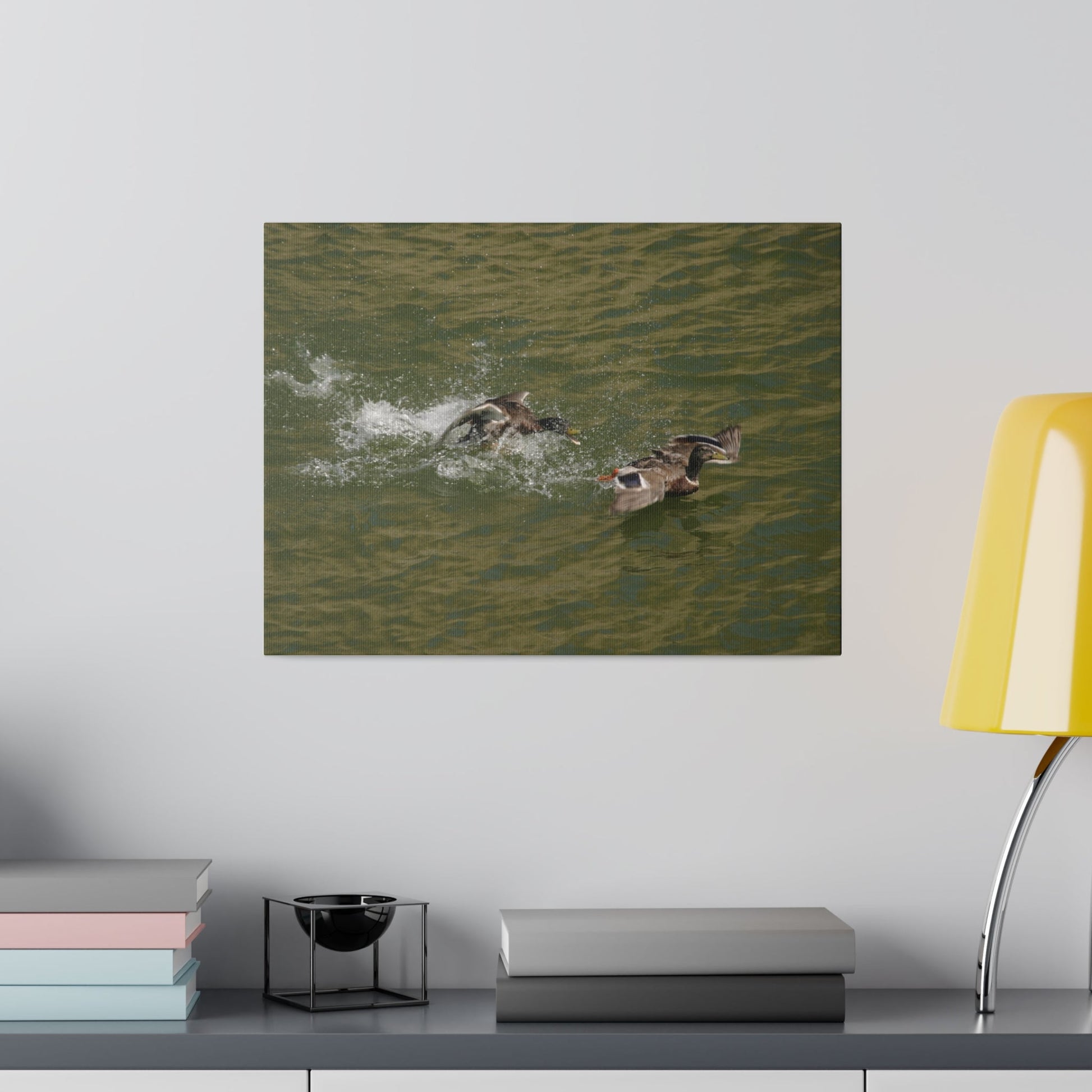Two Male Ducks Fighting On Water, Matte Canvas, Stretched, 0.75" - The Trio Synergize Group