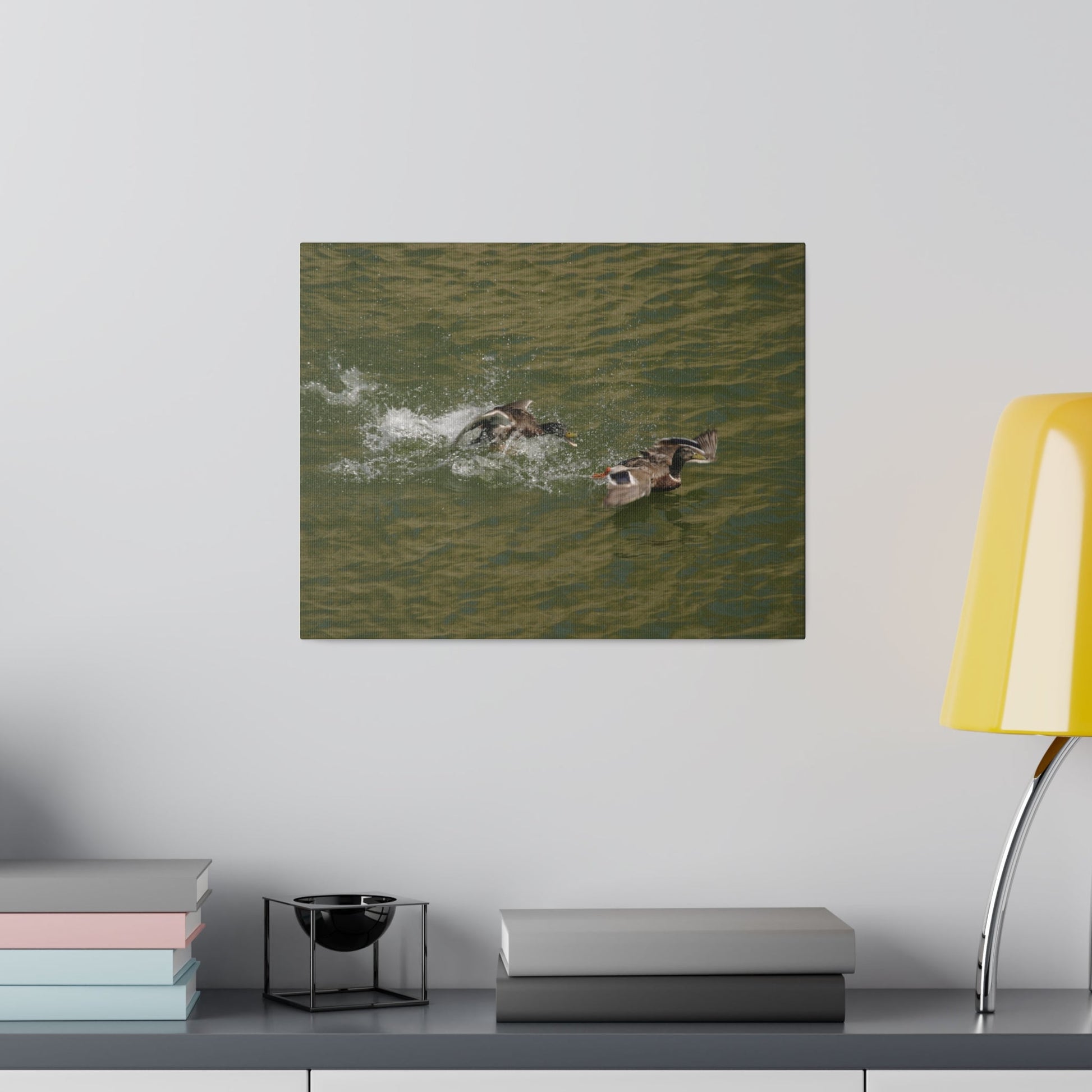 Two Male Ducks Fighting On Water, Matte Canvas, Stretched, 0.75" - The Trio Synergize Group