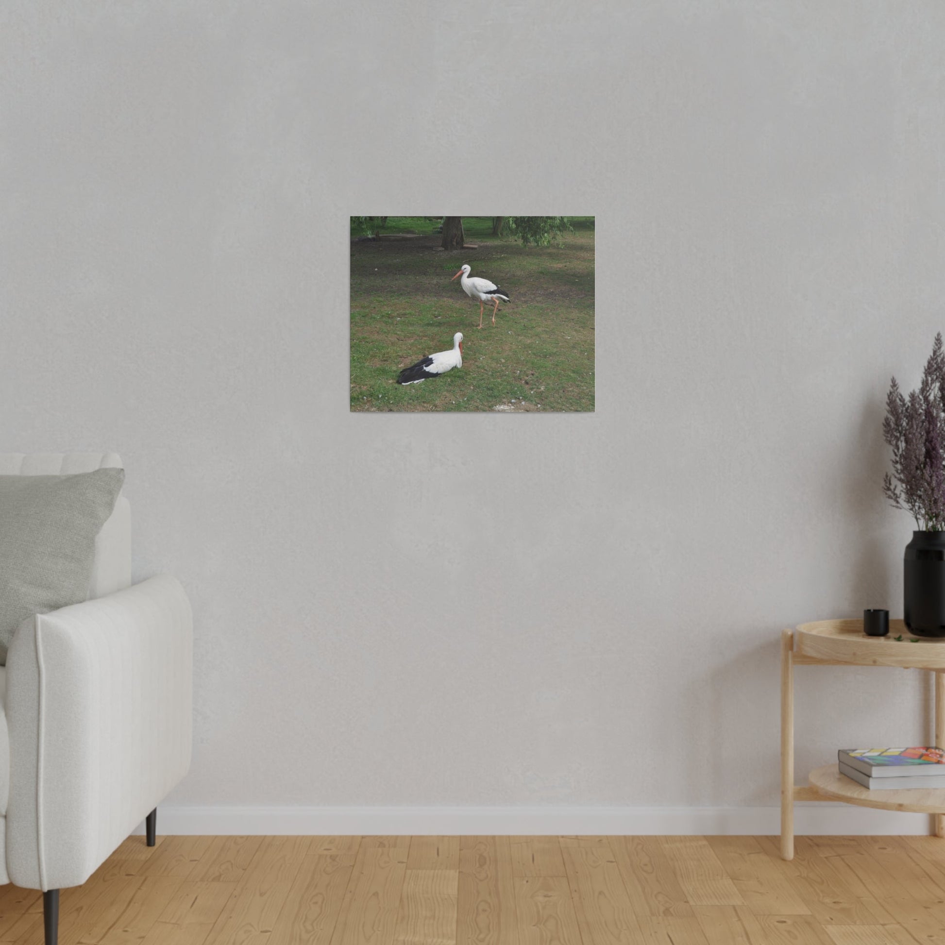 Two White Stork's, Matte Canvas, Stretched, 0.75" - The Trio Synergize Group