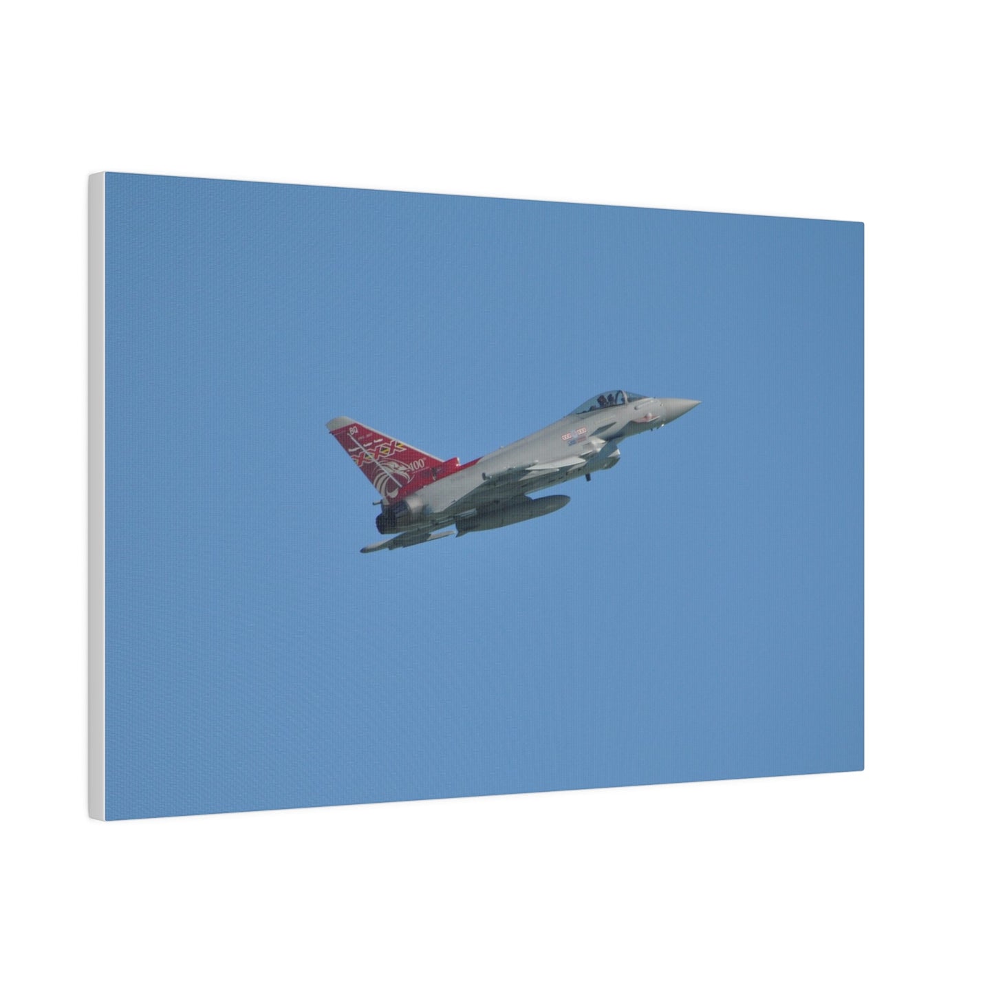 Typhoon Flying From The Left Slightly Ascending, Matte Canvas, Stretched, 0.75" - The Trio Synergize Group