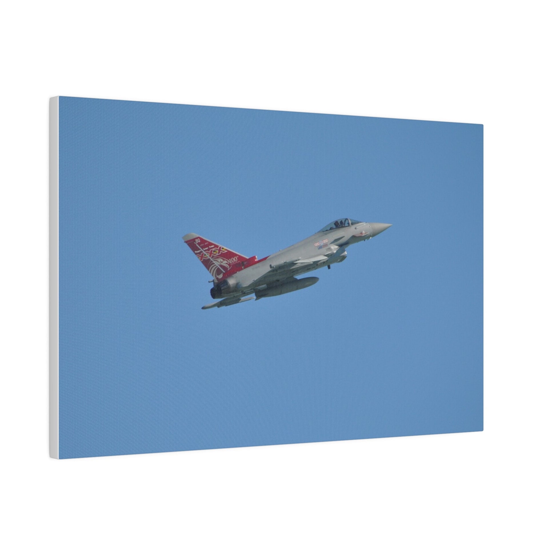 Typhoon Flying From The Left Slightly Ascending, Matte Canvas, Stretched, 0.75" - The Trio Synergize Group