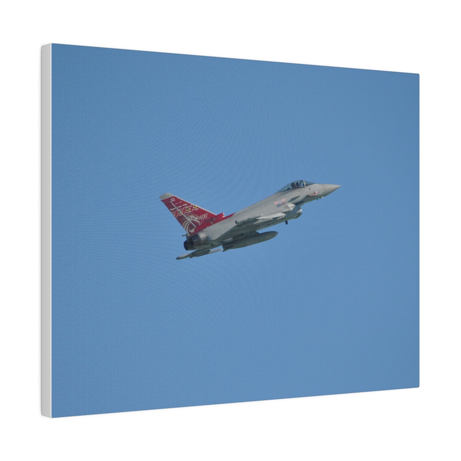 Typhoon Flying From The Left Slightly Ascending, Matte Canvas, Stretched, 0.75" - The Trio Synergize Group