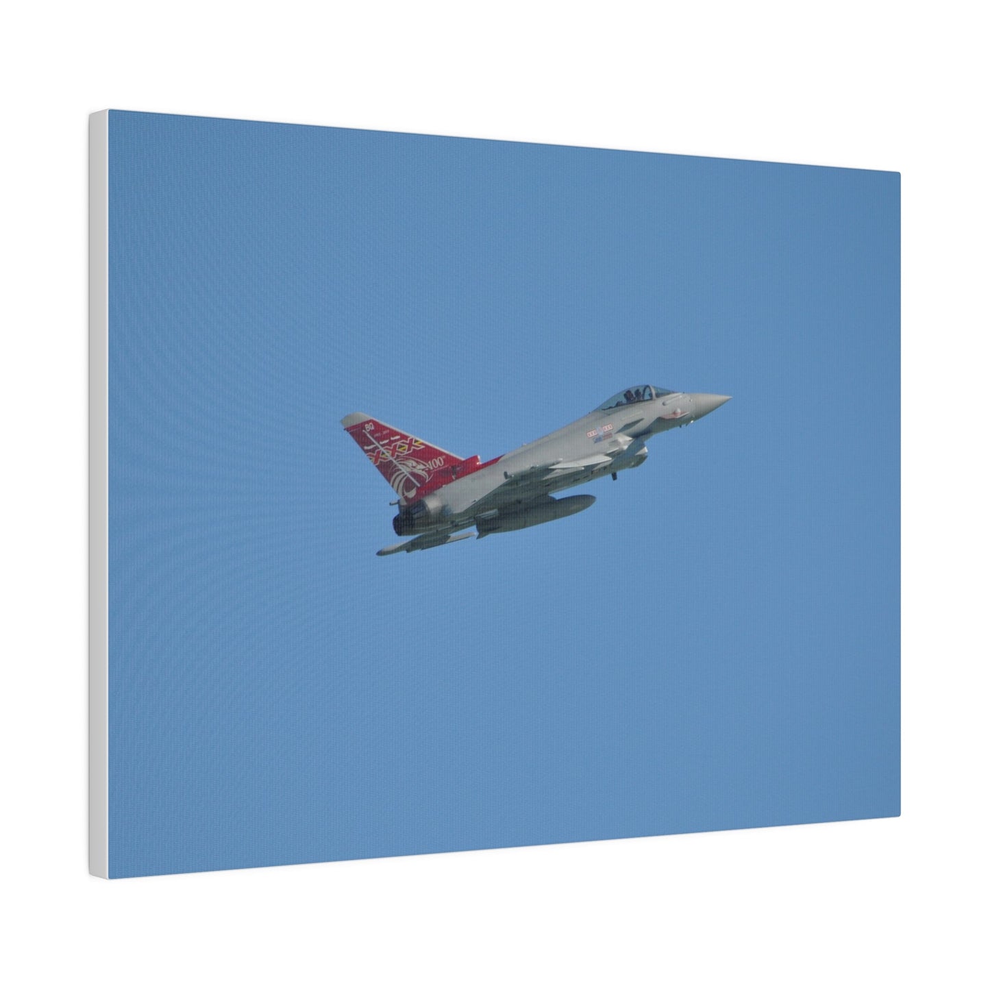 Typhoon Flying From The Left Slightly Ascending, Matte Canvas, Stretched, 0.75" - The Trio Synergize Group