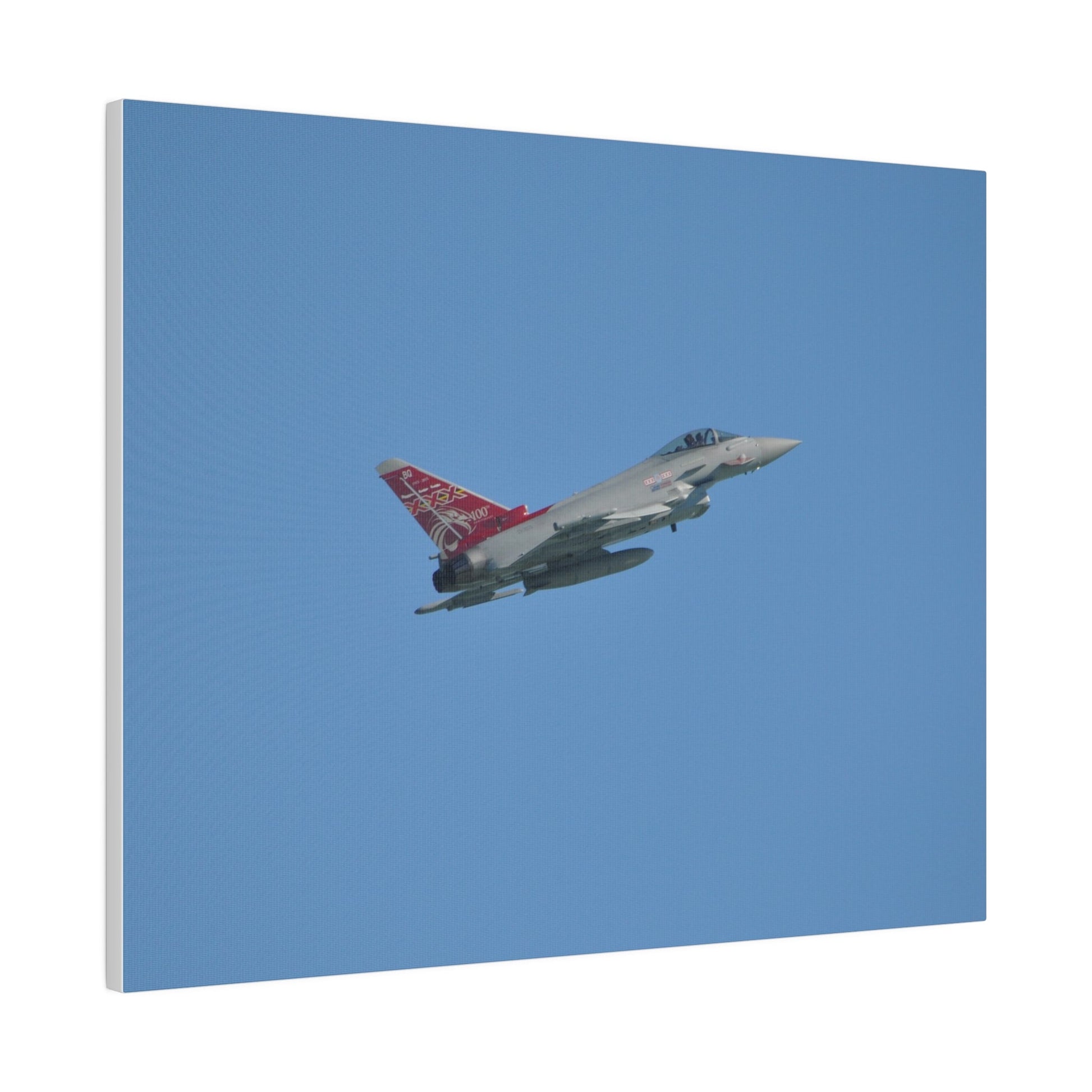 Typhoon Flying From The Left Slightly Ascending, Matte Canvas, Stretched, 0.75" - The Trio Synergize Group