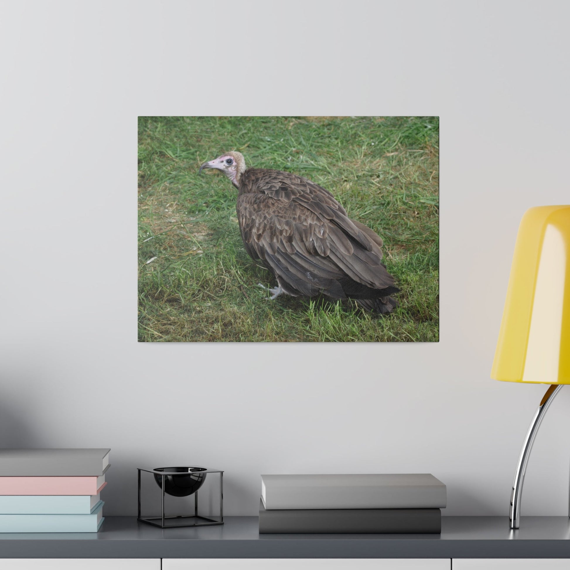 Vulture, Matte Canvas, Stretched, 0.75" - The Trio Synergize Group