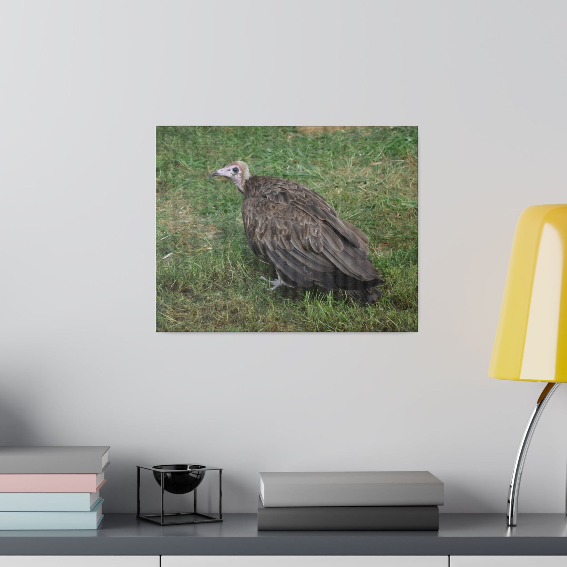 Vulture, Matte Canvas, Stretched, 0.75" - The Trio Synergize Group