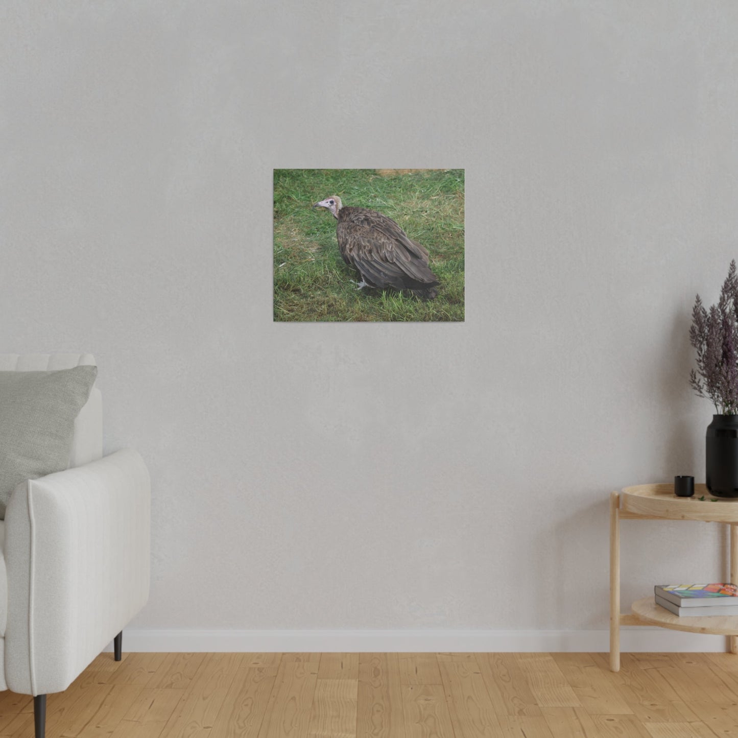 Vulture, Matte Canvas, Stretched, 0.75" - The Trio Synergize Group