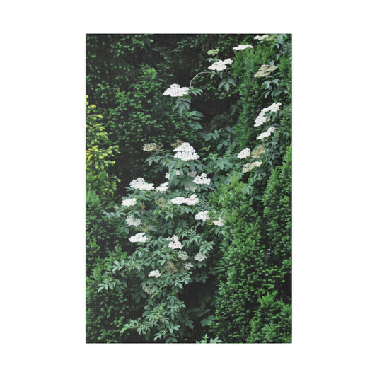 White Flowers Between Trees Canvas - The Trio Synergize Group