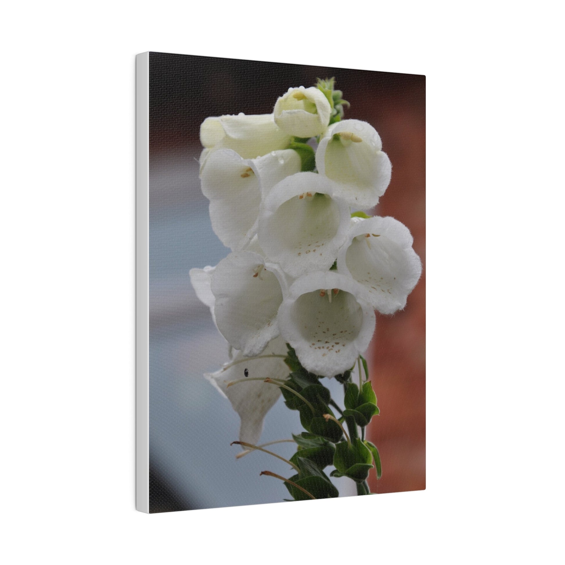 White Foxglove, Matte Canvas, Stretched, 0.75" - The Trio Synergize Group
