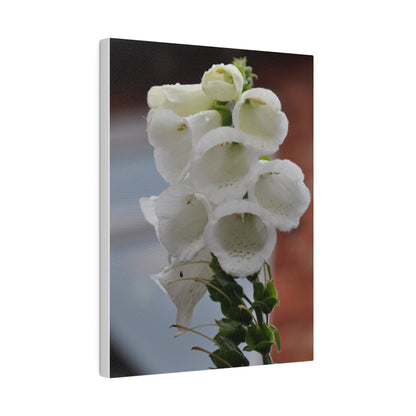 White Foxglove, Matte Canvas, Stretched, 0.75" - The Trio Synergize Group