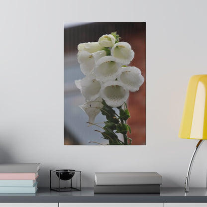 White Foxglove, Matte Canvas, Stretched, 0.75" - The Trio Synergize Group