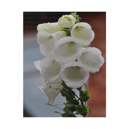 White Foxglove, Matte Canvas, Stretched, 0.75" - The Trio Synergize Group