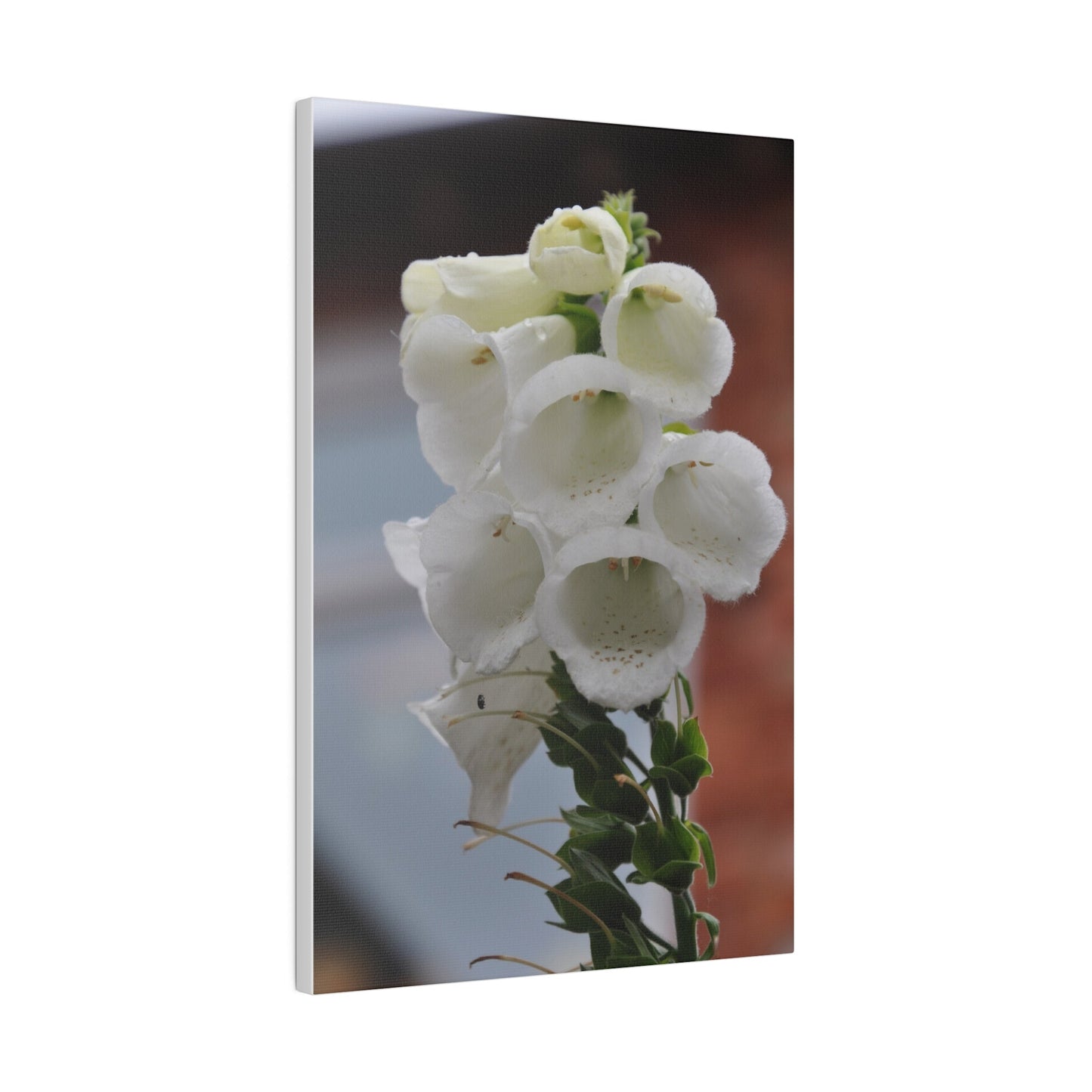 White Foxglove, Matte Canvas, Stretched, 0.75" - The Trio Synergize Group