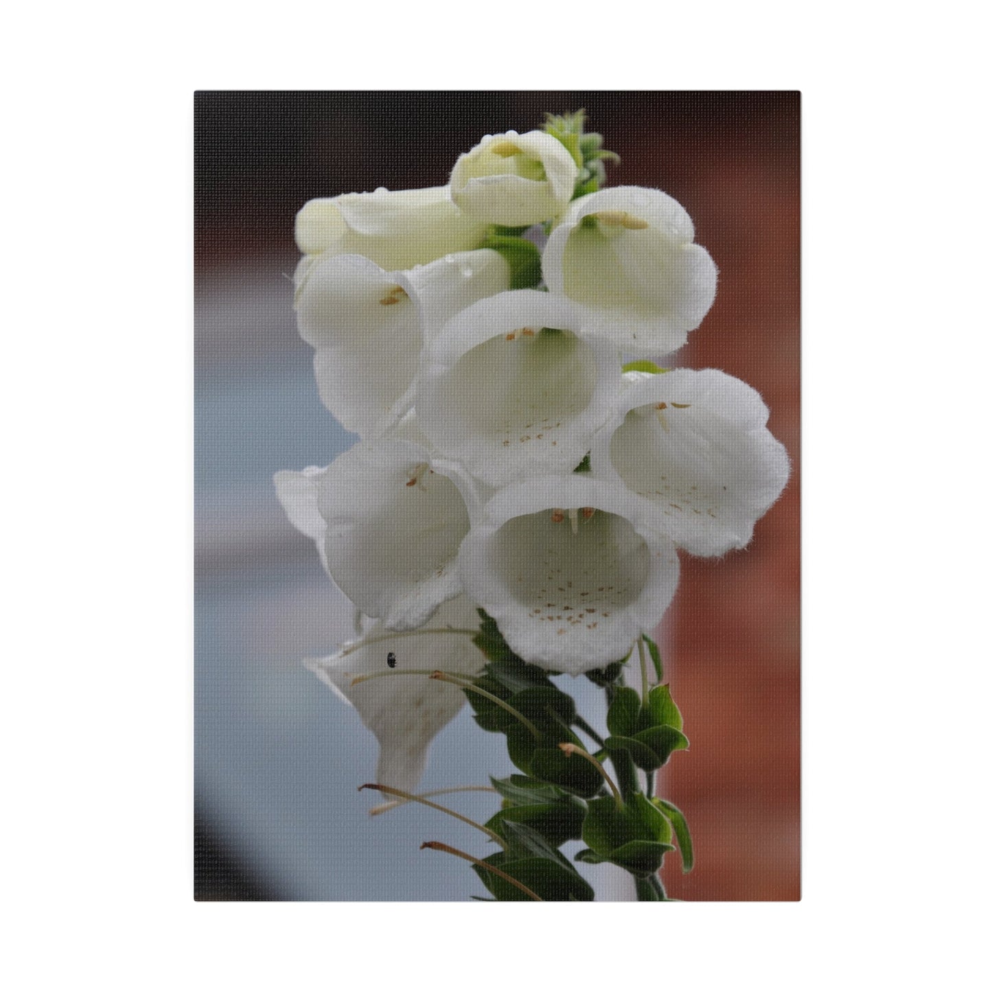 White Foxglove, Matte Canvas, Stretched, 0.75" - The Trio Synergize Group