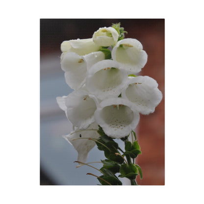 White Foxglove, Matte Canvas, Stretched, 0.75" - The Trio Synergize Group