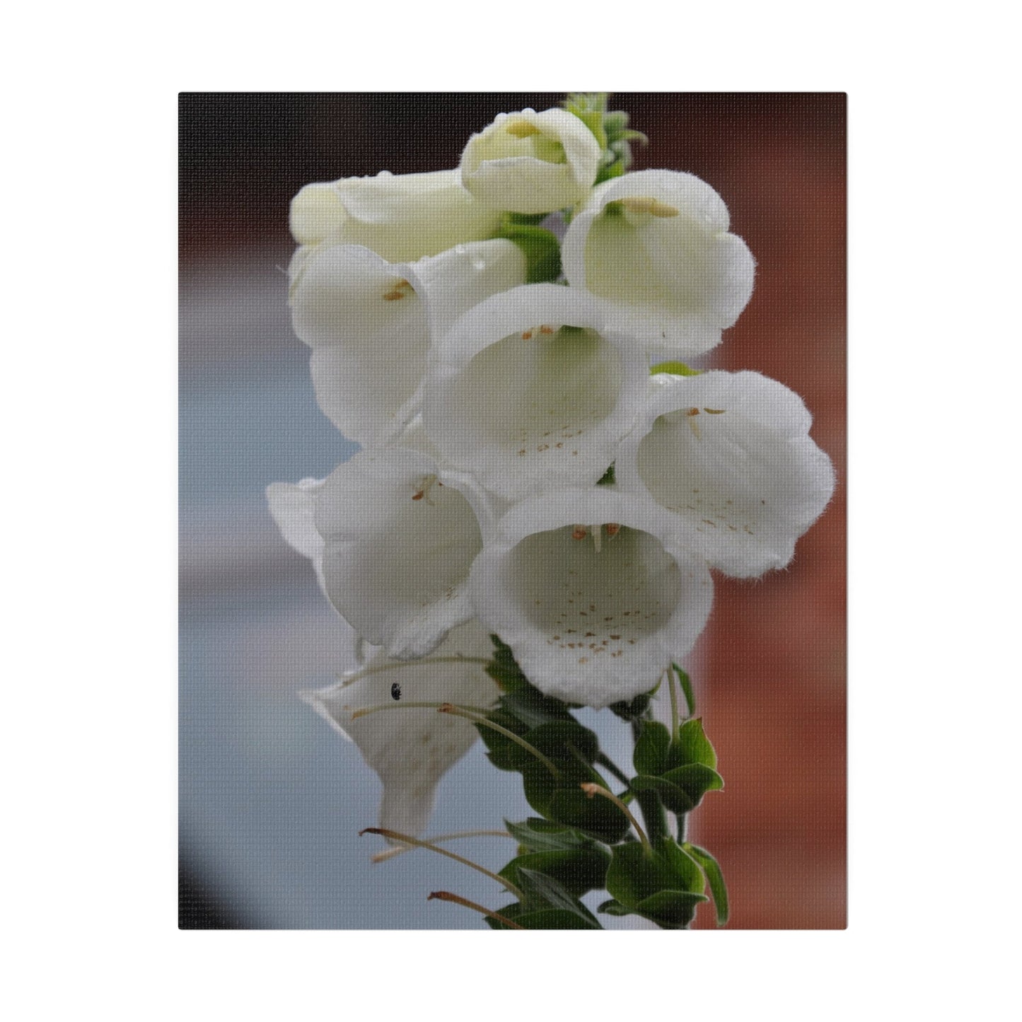White Foxglove, Matte Canvas, Stretched, 0.75" - The Trio Synergize Group