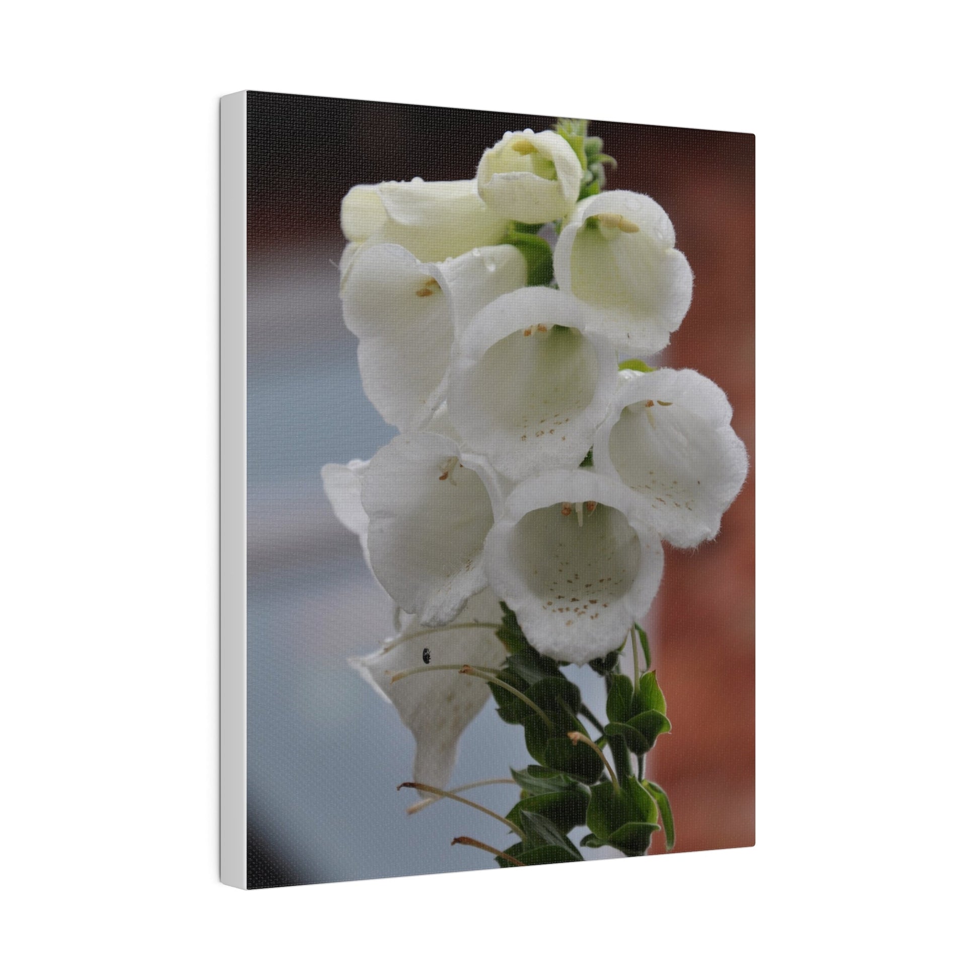 White Foxglove, Matte Canvas, Stretched, 0.75" - The Trio Synergize Group