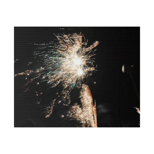 White Exploding Sparkle Firework Canvas - The Trio Synergize Group