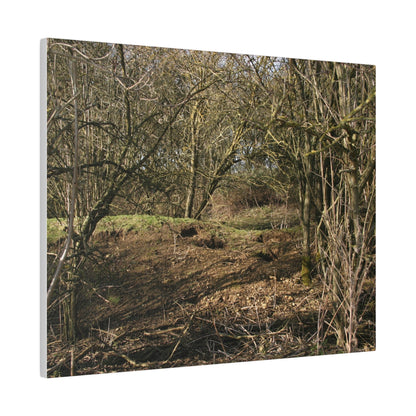 Woodland Landscape, Matte Canvas, Stretched, 0.75" - The Trio Synergize Group