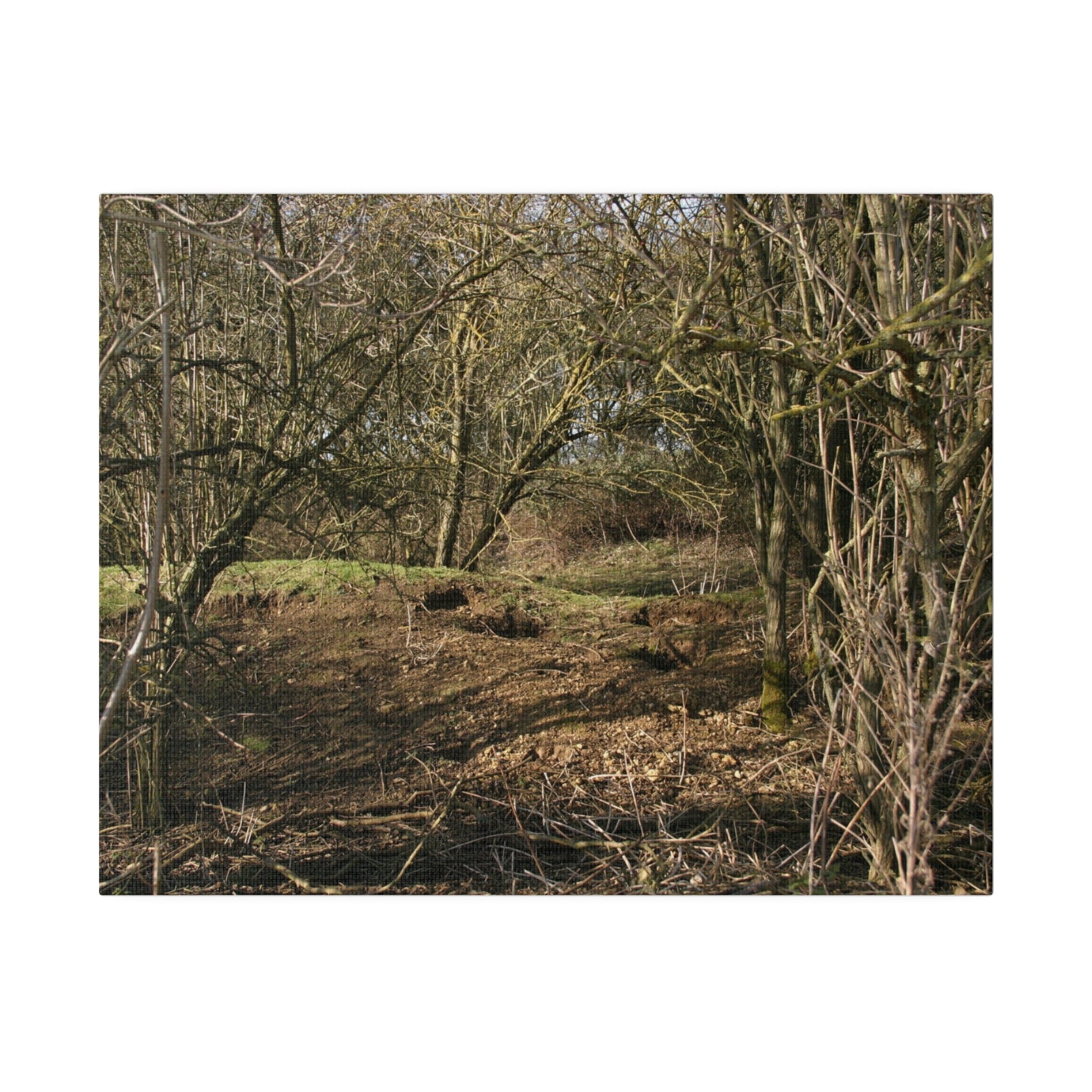 Woodland Landscape, Matte Canvas, Stretched, 0.75" - The Trio Synergize Group